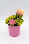 Piantina di Cactus Origami