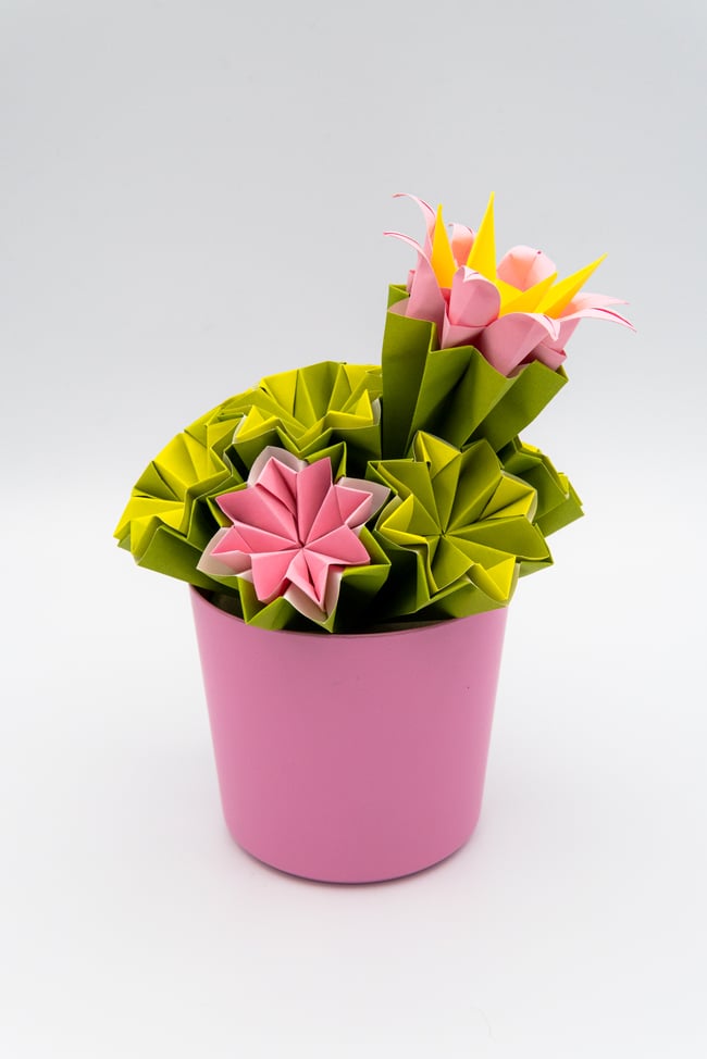 Piantina di Cactus Origami