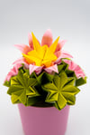 Piantina di Cactus Origami