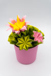 Piantina di Cactus Origami
