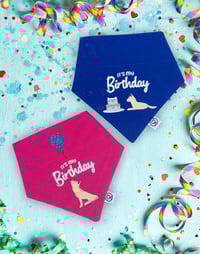 Image 1 of Birthday bandanas