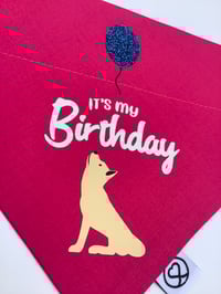 Image 2 of Birthday bandanas
