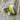 Green, White, and Purple Studs
