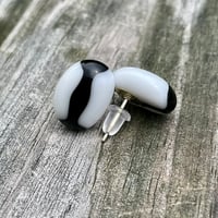 Image 1 of White and Black Studs