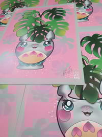 Image 3 of A4  totoro cheese plant 