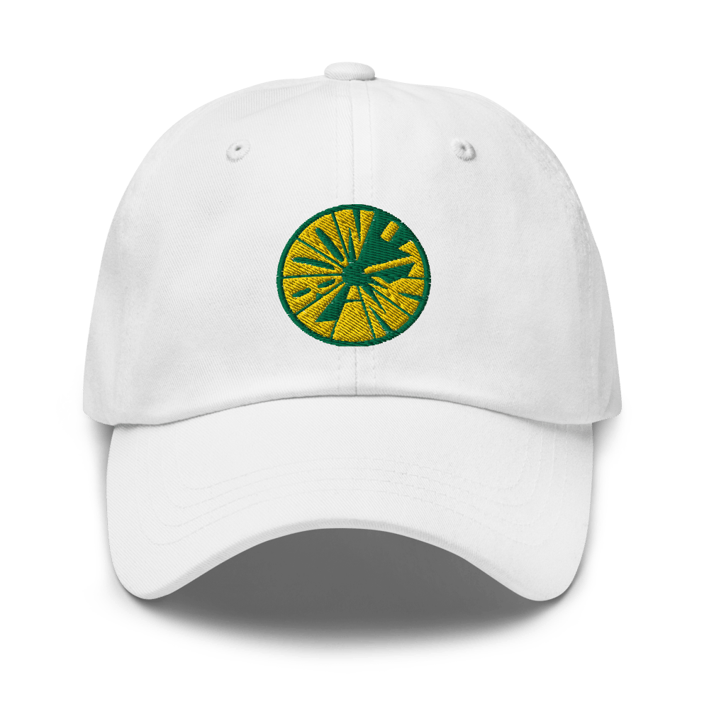 Don't Blink Circle Dad Hat