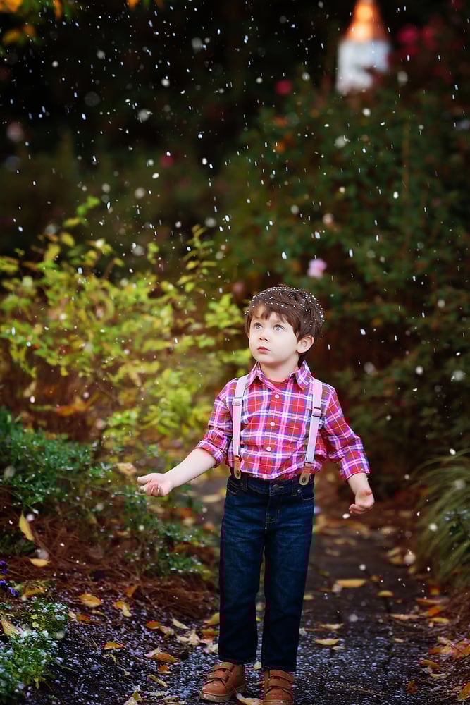 Image of November 22nd :  Winter Magic Snow and Lights Sessions ***$50 Due to Book Session***