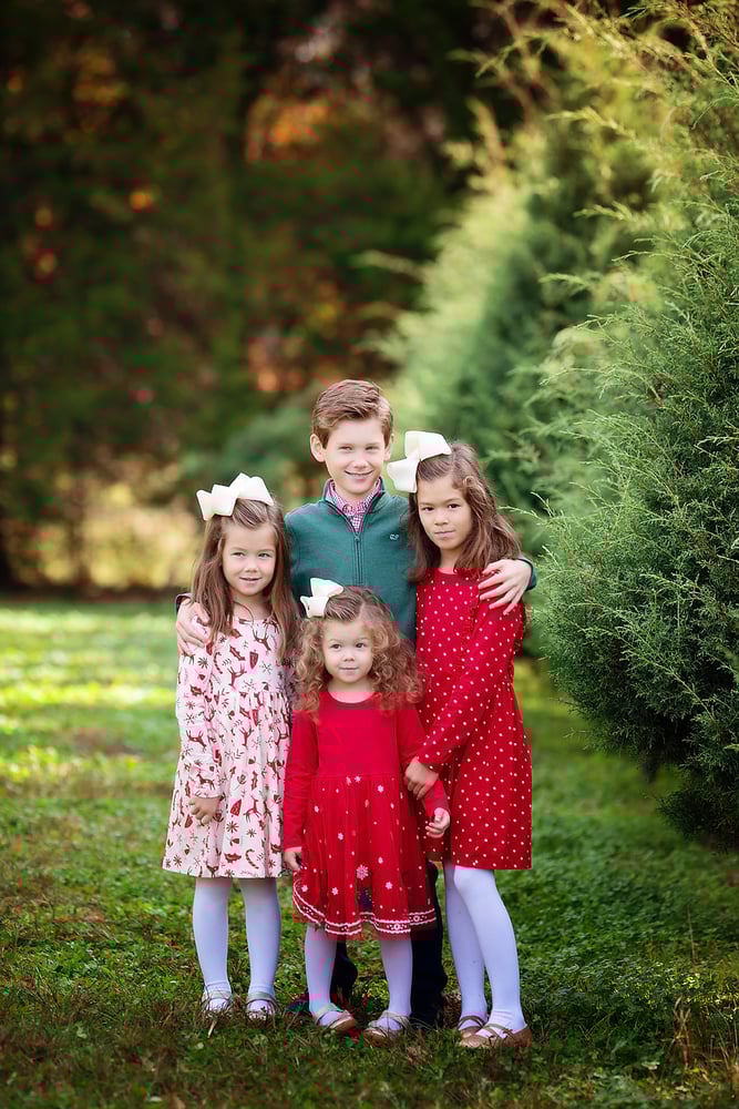Image of NOVEMBER 15th:  Christmas Tree Farm Mini Sessions **$50 DEPOSIT***