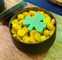 Image 2 of Pot Of Gold | Limited Edition Scoopies