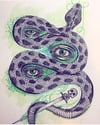 The Gorgon's Gaze