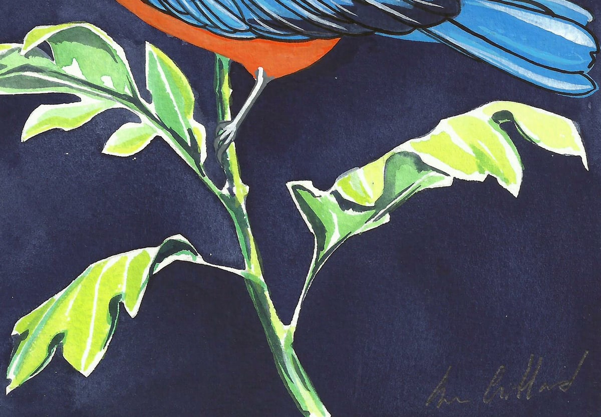 Image of Bluebird and Chrysanthemum