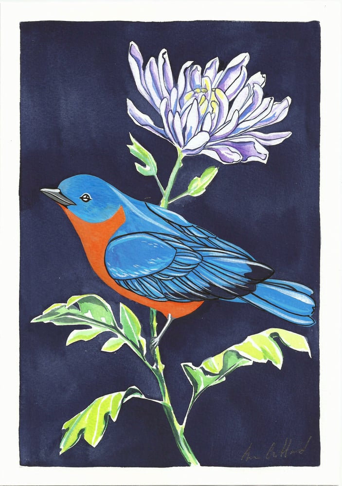 Image of Bluebird and Chrysanthemum