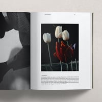 Image 5 of UNION MAG # 16 - LAST ONE