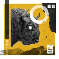 Image 3 of Bison's Revenge Limited CD