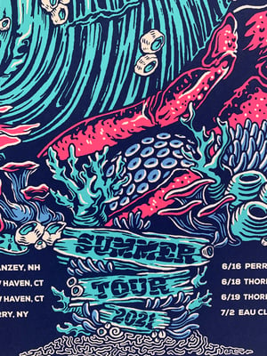Goose 2021 Summer Tour Poster - Paper
