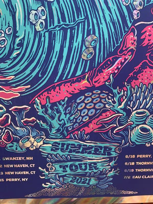 Goose 2021 Summer Tour Poster - Foil