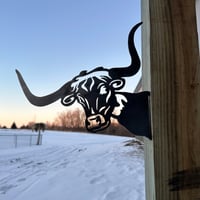 Image 2 of Longhorn Bull - Outdoor