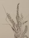 Bouquet 07 - A4 - Original Botanical Monoprint 