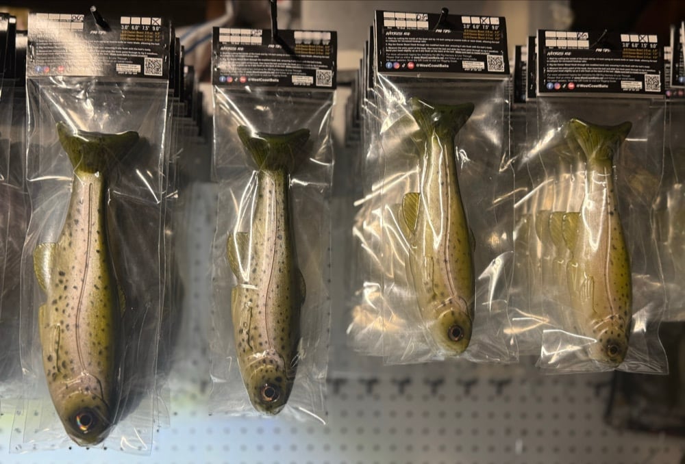 OG Reissue Light Trout *PCS EXCLUSIVE* - Image 2