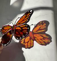 Image 4 of Painted Monarch Butterfly