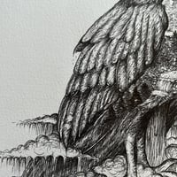 Image 3 of Estelle the Black Barn Owl