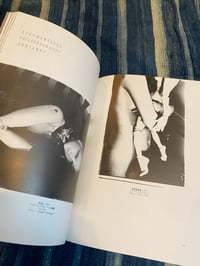 Image 3 of Grape Coloured Breasts, The Dolls of Nori Doi, 1986.