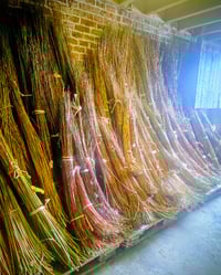 Image 2 of Basket Making Sunday 11th January 10 - 4 pm