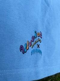 Image 3 of Alluvial ❌ Siricasso Baby Blue