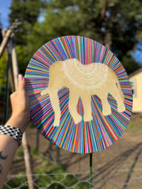 Image 1 of 🐘circle of life 🌈