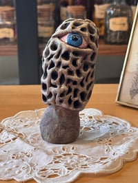 Image 3 of Mysterious Mushrooms