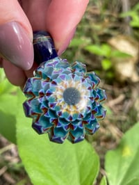 Image 2 of Blue Iris