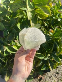 Image 2 of Green Fluorite Cube