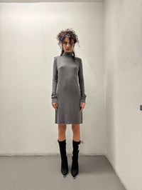 Image 1 of Rick Owens Lilies Turtleneck Dress