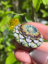 Image 4 of Sunburst Dahlia