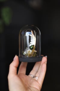 Image 1 of Campana con mandibola di gatto