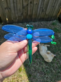 Image of Fused Dragonfly