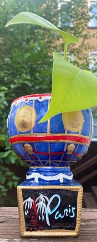 Image 4 of Lemon Lime Pothos in Paris Cup 