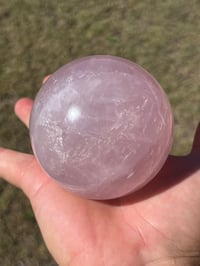 Image 3 of Star Rose Quartz Sphere #2642