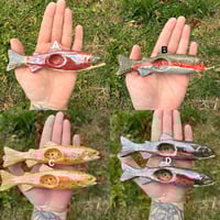 Image 2 of Trout -SECONDS