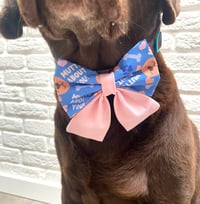 Image 7 of Mutts About You/ Bees or I Woof You, Valentine's Day Bow Ties/ Sailor Bow