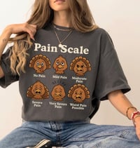 Turkey Pain scale
