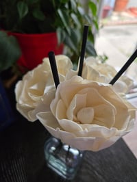 Image 5 of Triple Floral Reed Diffuser