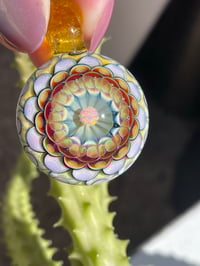 Image 6 of Sunburst Dahlia