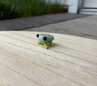 frog 1