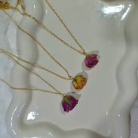 Image 1 of Real Flower Rose Bud Necklace
