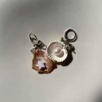 Seashells Earrings 2