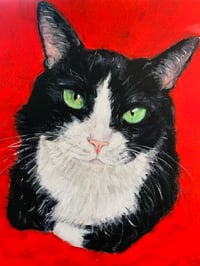 Image 1 of Cats
