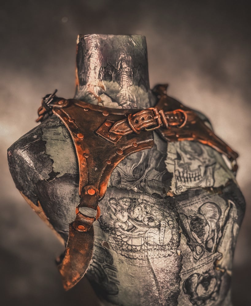 Leather Wasteland Harness 