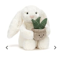 Cream Bunny With Plant