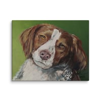 Image 4 of Brittney Spaniel